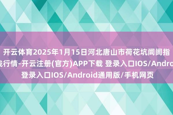 开云体育2025年1月15日河北唐山市荷花坑阛阓指标处分有限公司价钱行情-开云注册(官方)APP下载 登录入口IOS/Android通用版/手机网页